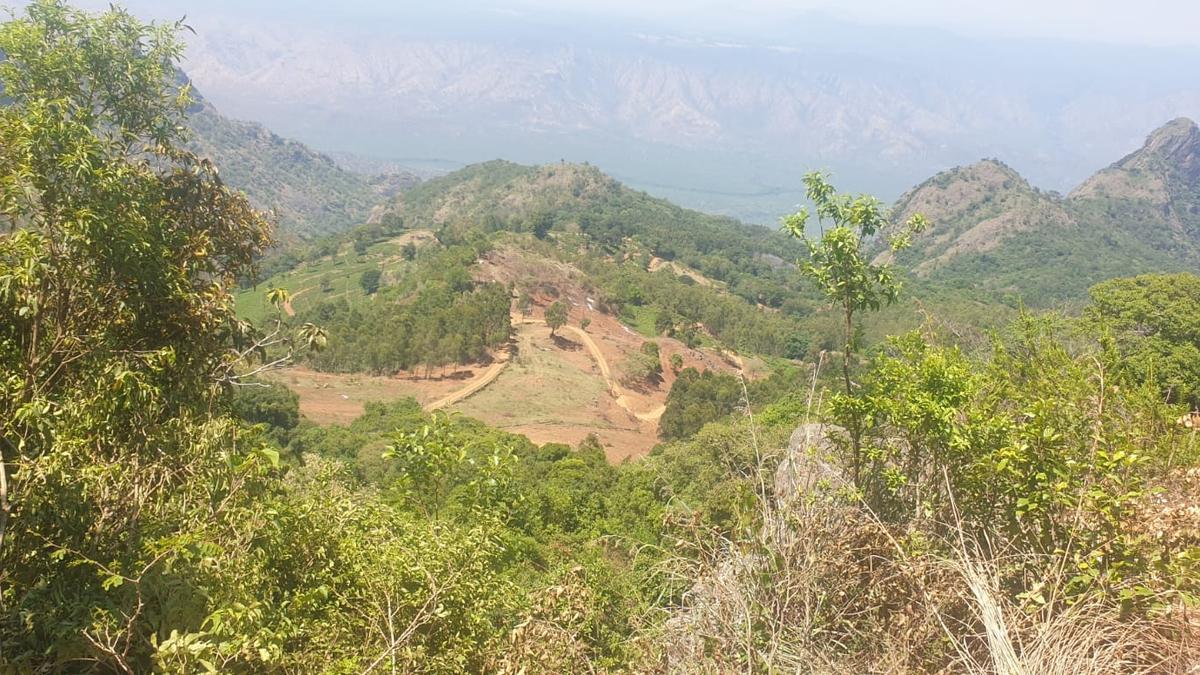 Plans to denotify 20% of all land protected by TNPPF Act in the Nilgiris