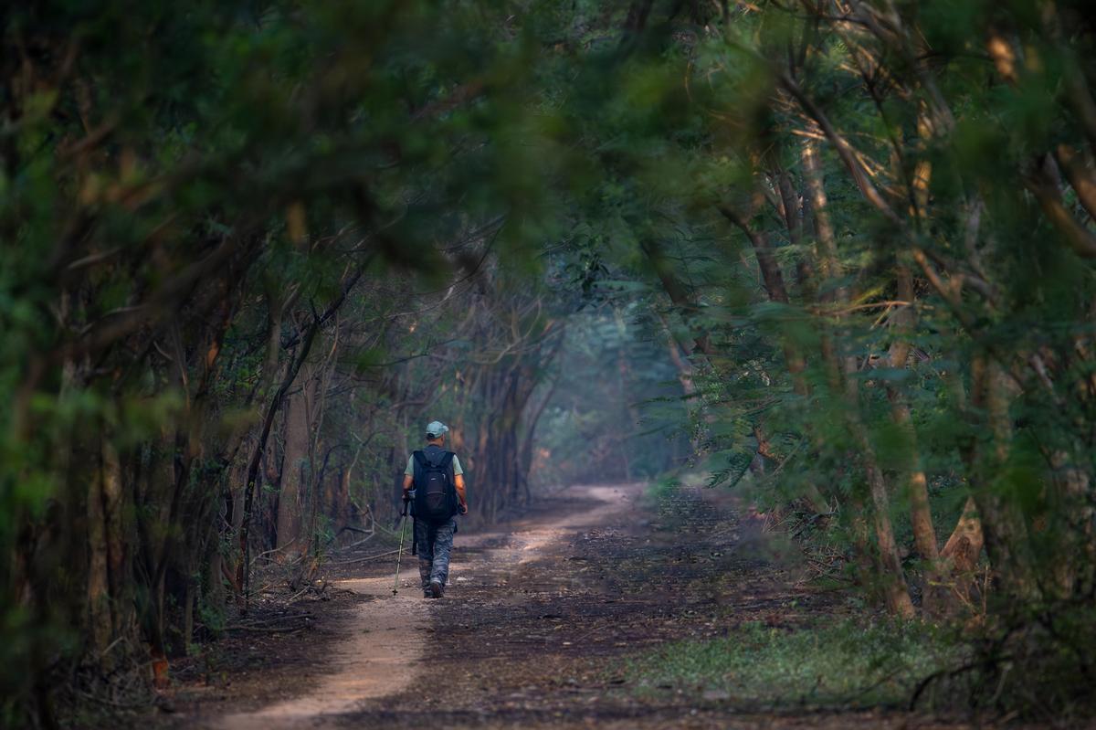 A birdwatcher making his way through the pathway that leads to the airport estuary in Visakhapatnam.