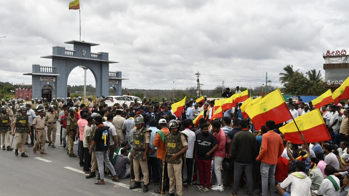 Cauvery dispute | Cauvery Water Management Authority upholds panel’s decision