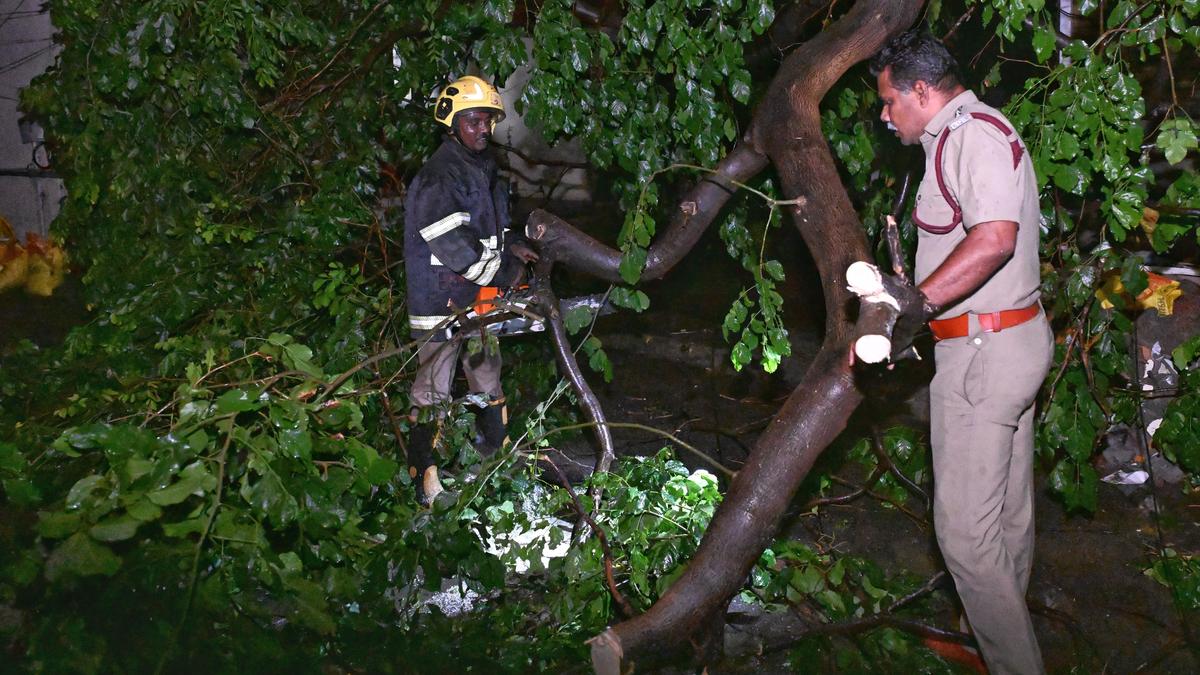 Downpour inundates streets, damages infrastructure in Madurai city