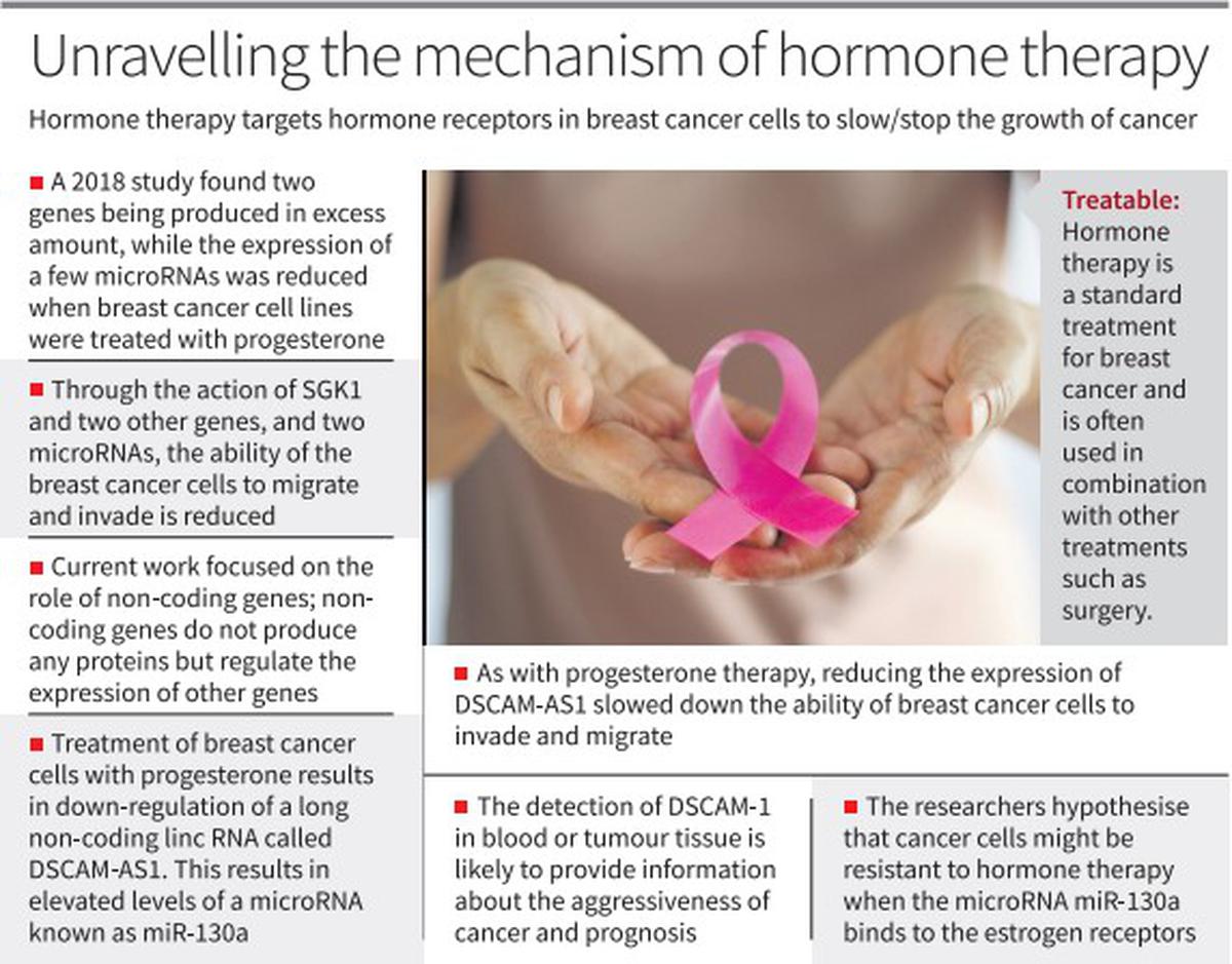 Hormone Therapy for Breast Cancer: Types and More