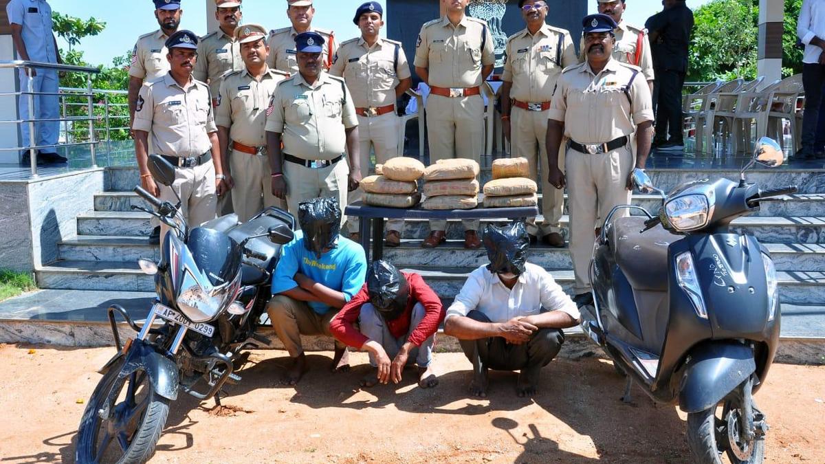 22 kgs ganja seized in Madanapalle, three arrested