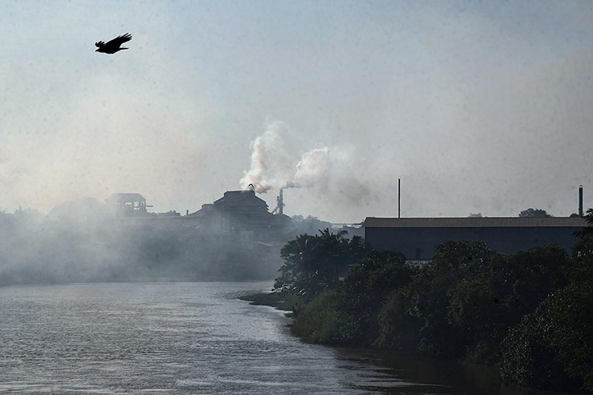 The faecal coliform count along the Kalamassery stretch of the Periyar in March 2025 was 2,100 MPN per 100 ml. The faecal coliform count along the Kalamassery stretch of the Periyar in March 2025 was 2,100 MPN per 100 ml.