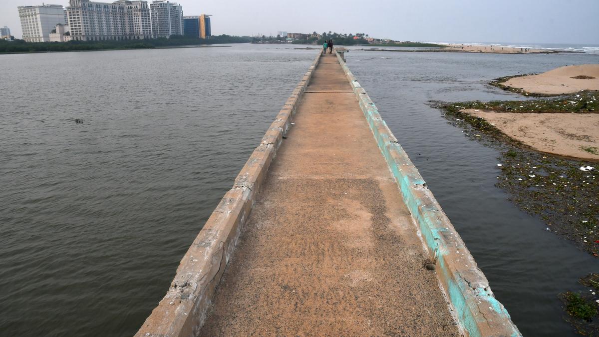 https://th-i.thgim.com/public/incoming/j8v08/article69953366.ece/alternates/LANDSCAPE_1200/Adyar_River_estuary_01.jpg