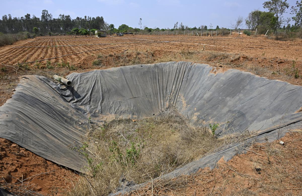 A ‘krishi honda (pond) at Bhuvanahalli near Hoskote, which farmers have set up to collect water from borewells and ponds and pump to agricultural fields. But it’s dry because of water scarcity.