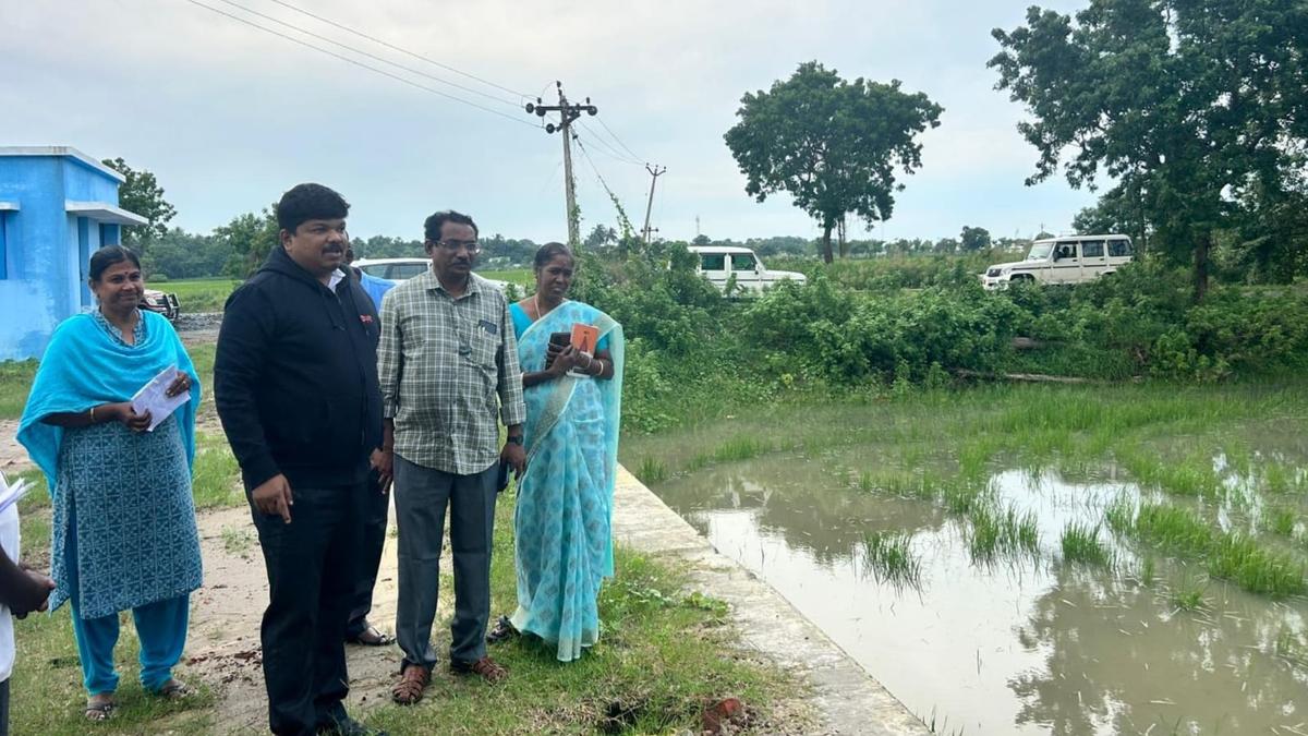 Rains ease over delta; focus shifts to drainage, crop protection