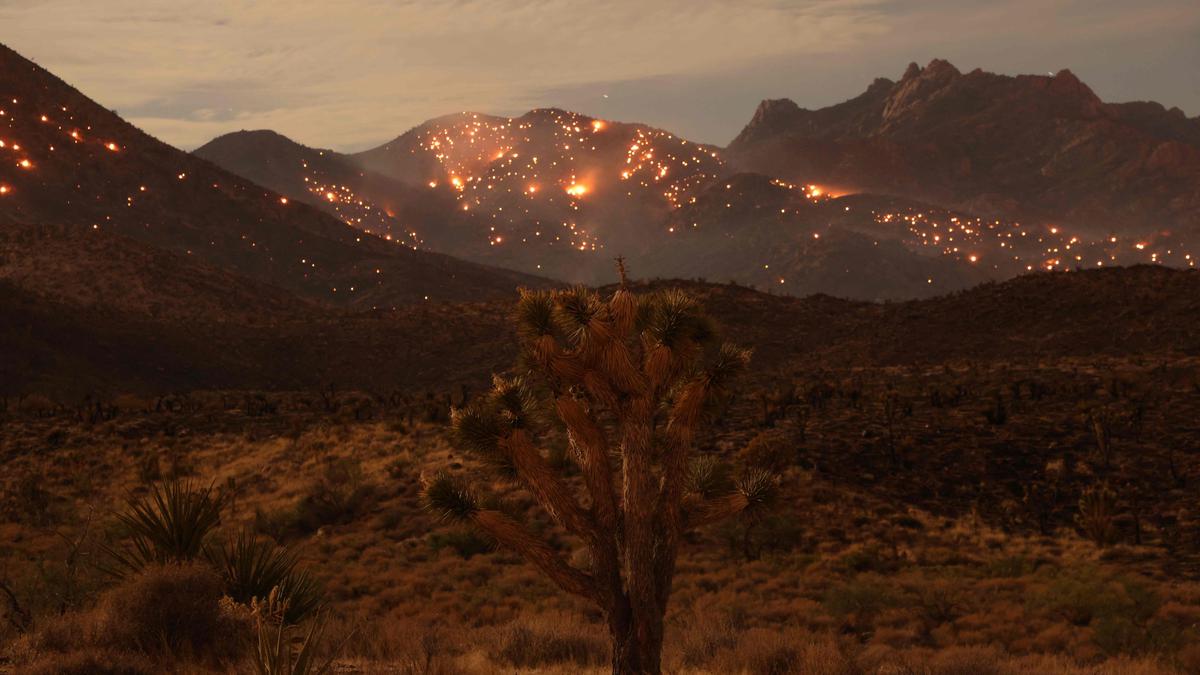 2023 officially warmest year on record by a huge margin, World Meteorological Organization confirms