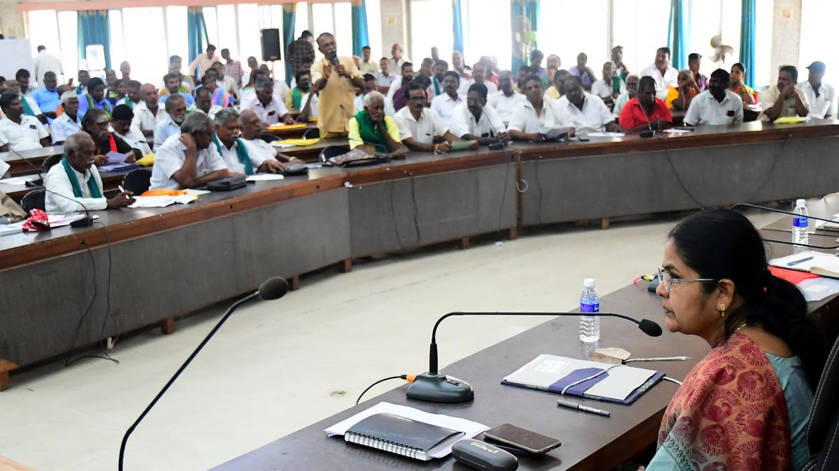 Wild boars raid agricultural fields and destroy standing crops, say Palani farmers