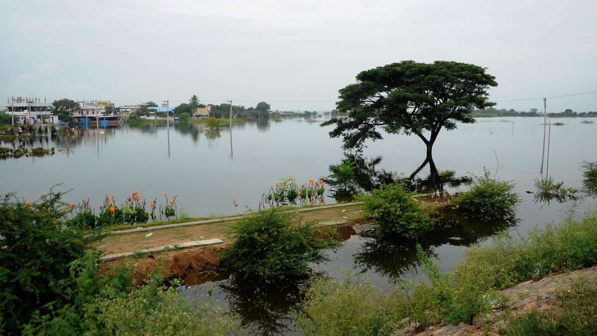 2022, a mixed year for GHMC