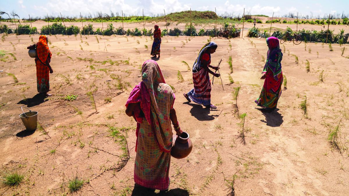 A documentary series of 16 stories of resilience shot in five of India’s most climate-vulnerable states