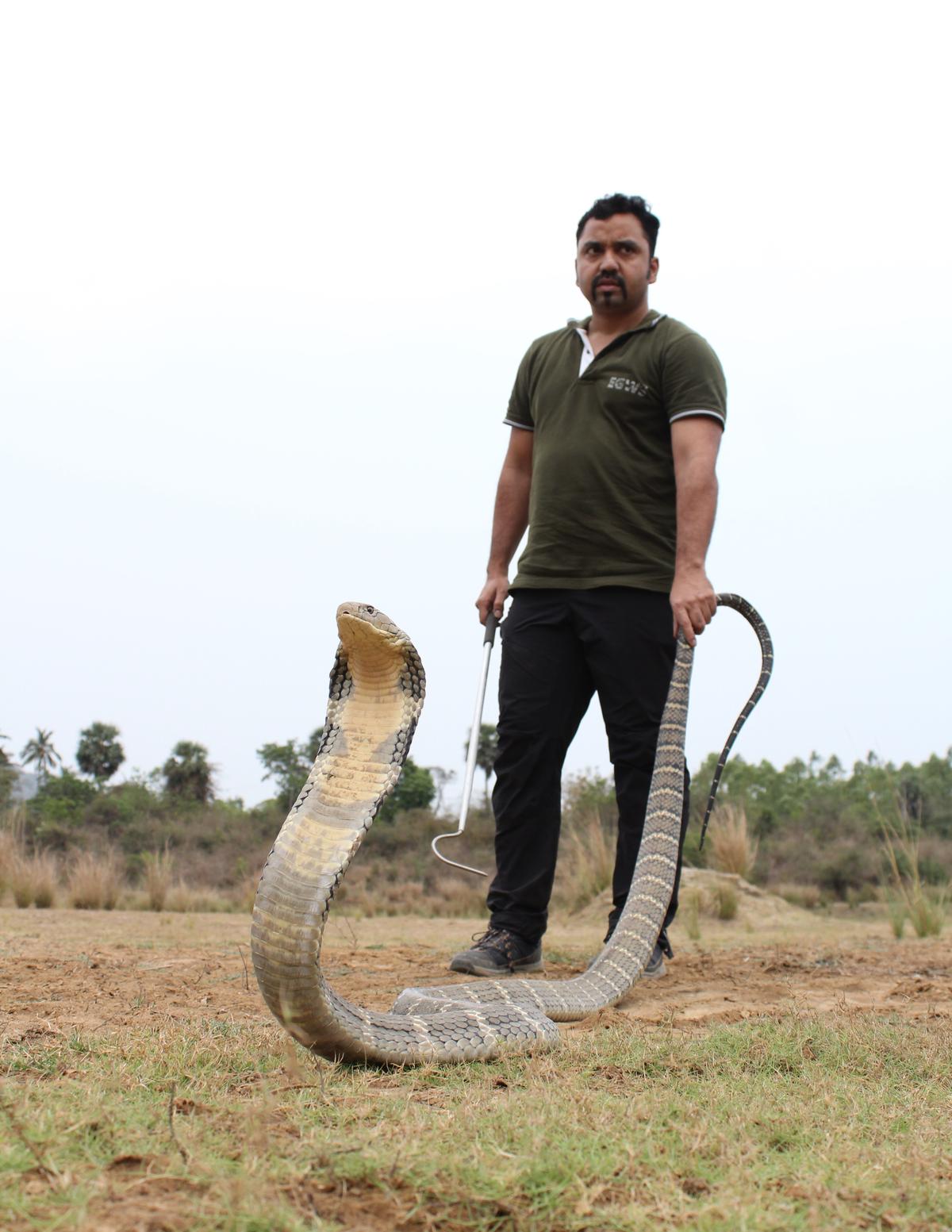 Murthy Kantimahanti of Eastern Ghats Widlife Society in a snake rescue mission