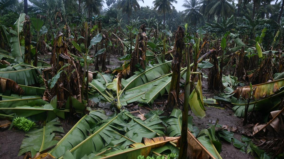 Cyclone-induced rain lashes Vellore, nearby districts 