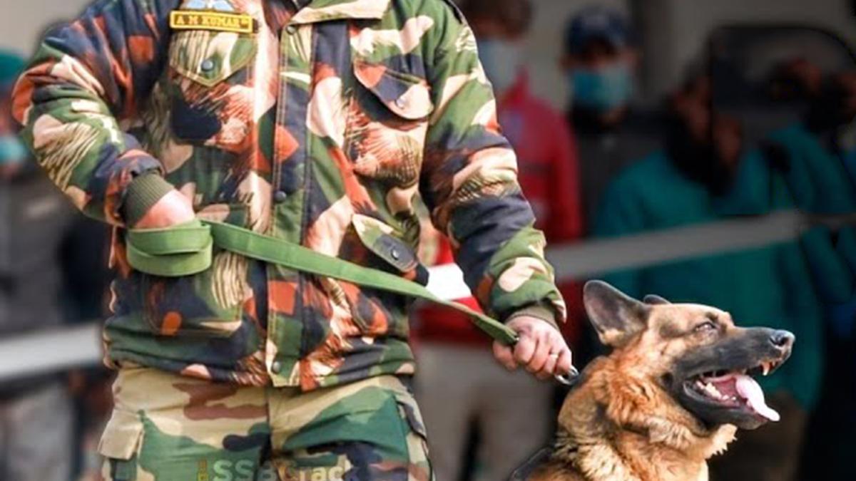 Wayanad landslide: Army dogs that can sniff out life from under mud to be deployed