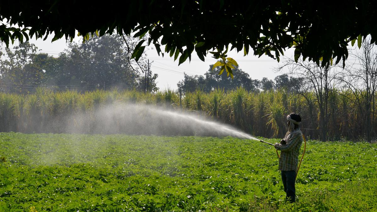 Farmer dies in hospital days after being thrashed in Rajasthan’s Kota