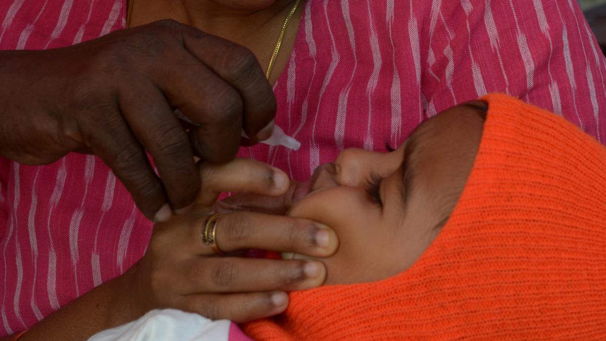 98% of children needing oral polio immunisation covered