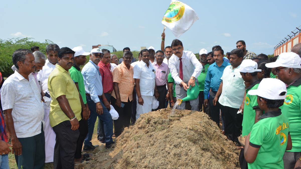 Palmyra seed planting initiative launched at Tamil Nadu Dr. J. Jayalalithaa Fisheries University