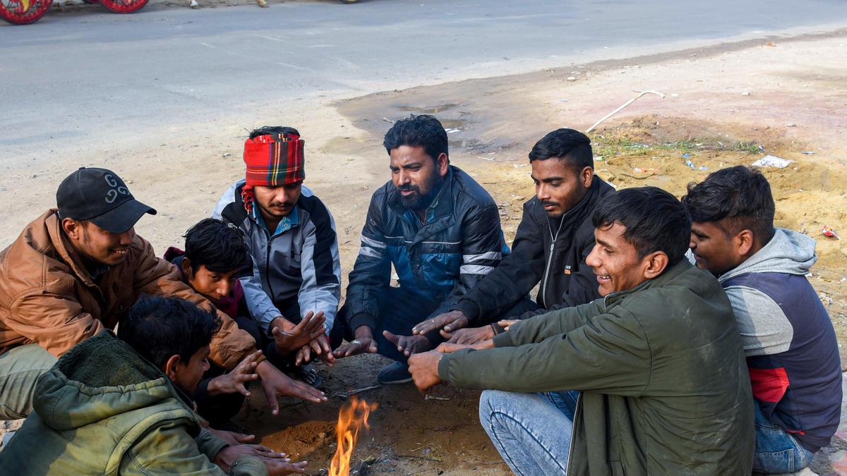 Rajasthan reels under intense cold conditions, Fatehpur coldest at 1.9°C