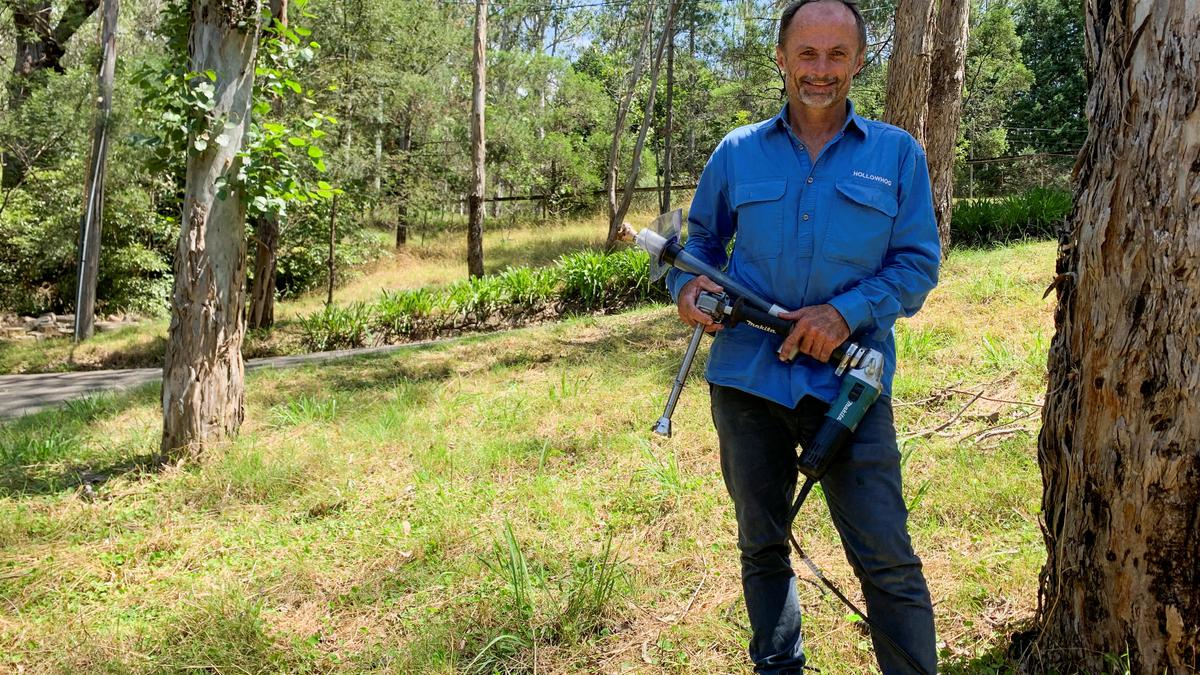 Australia's endangered wildlife gets lifeline from invention that hollows trees