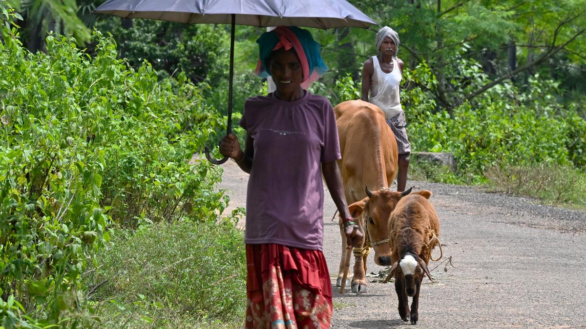 Shravana heat leaves Vizag residents sweating