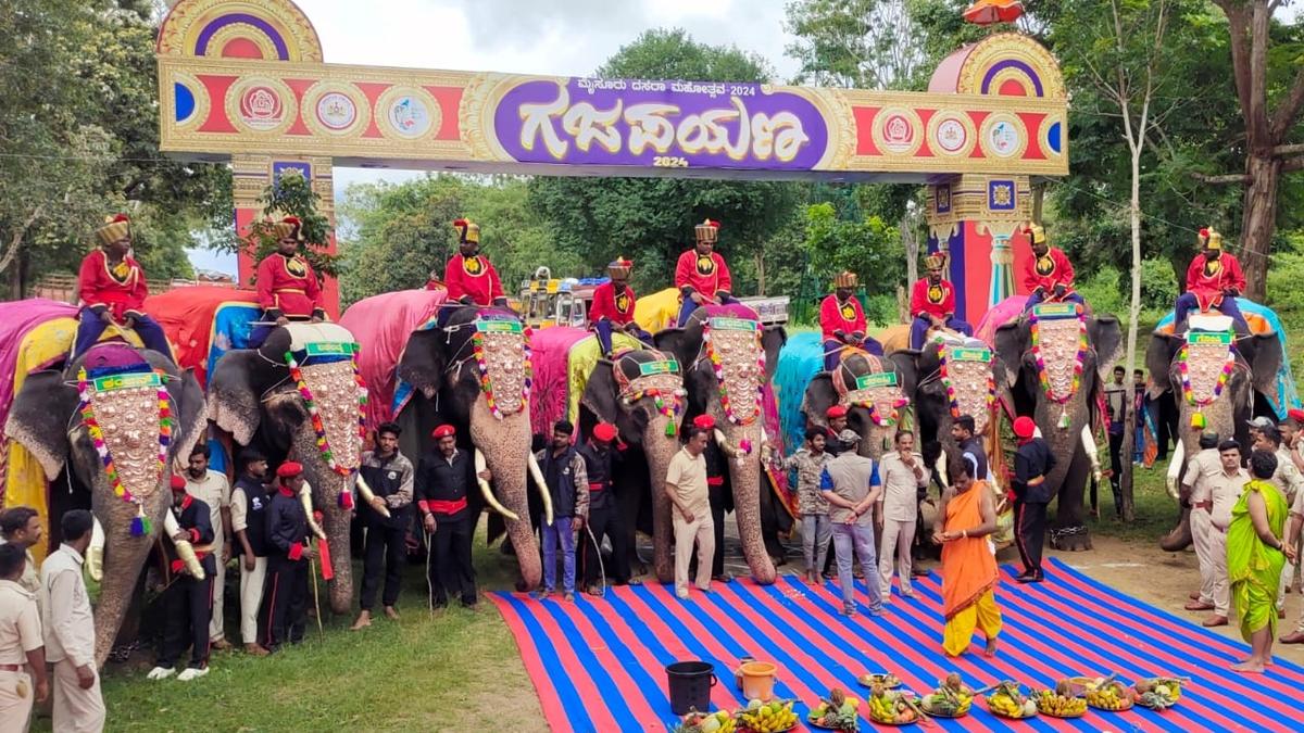 Lakshmi is the oldest, Abhimanyu is the heaviest among elephants for Mysuru Dasara