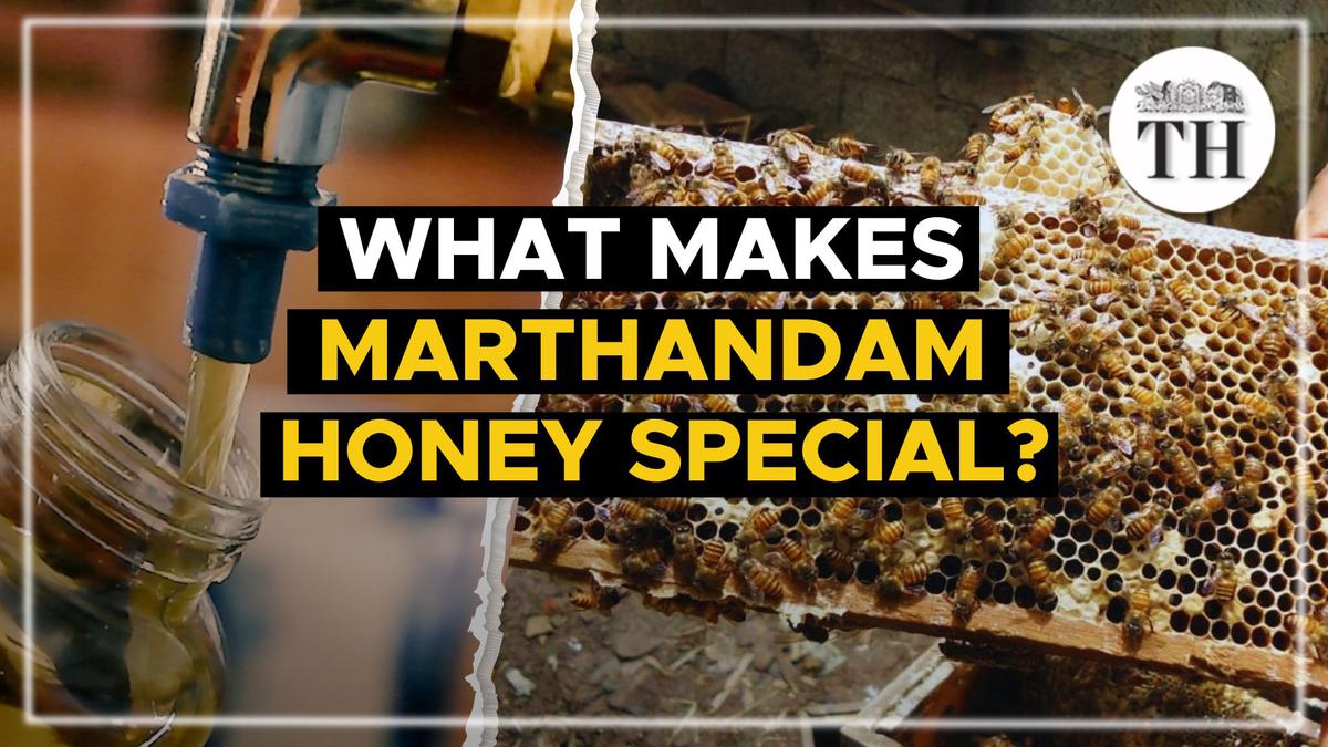 Watch | What makes ‘Marthandam honey’ special?