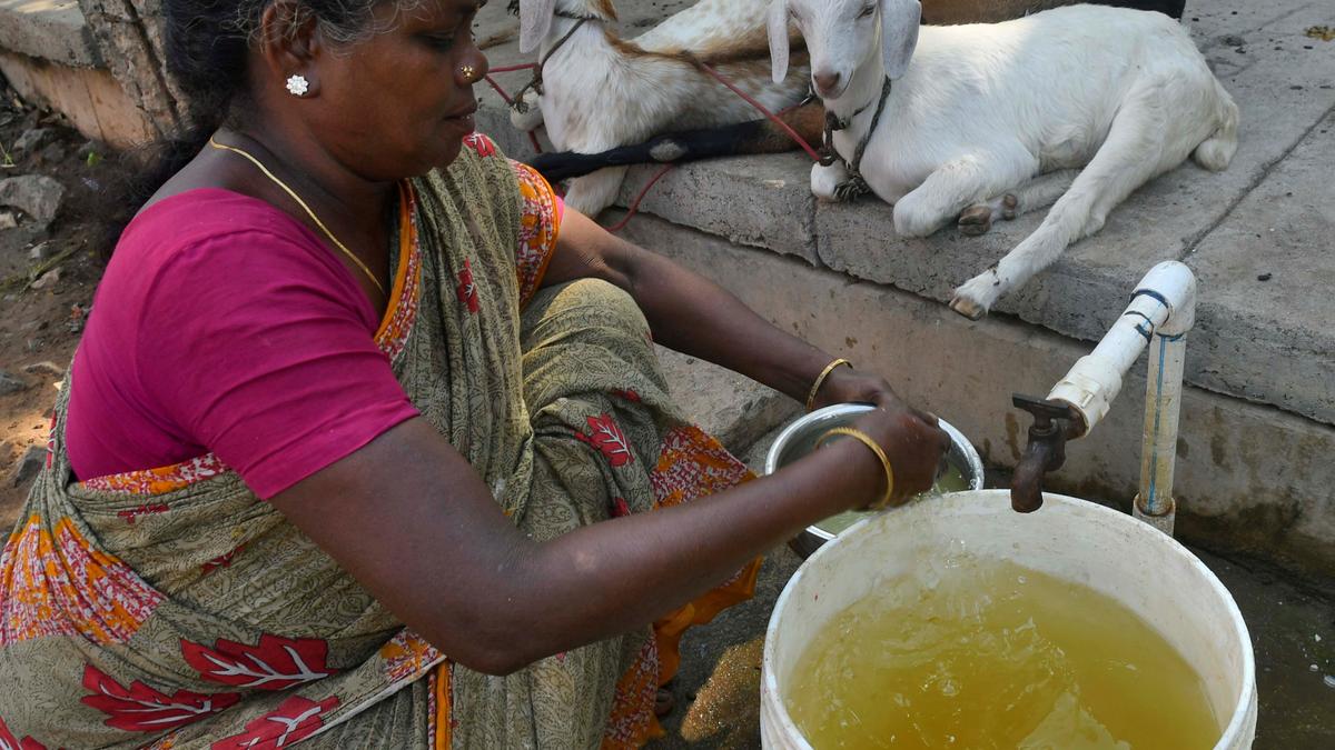Potable water, civic amenities remain a distant reality for residents living near Iyyanar Koil in Thengaithittu
