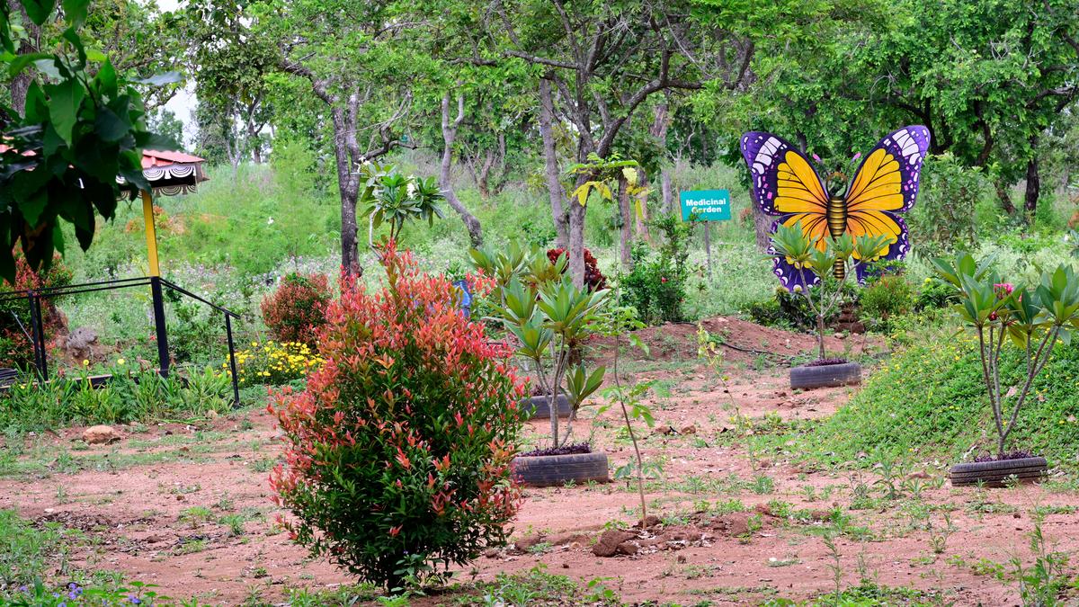 A biodiversity park that remains unopened in Sirumalai