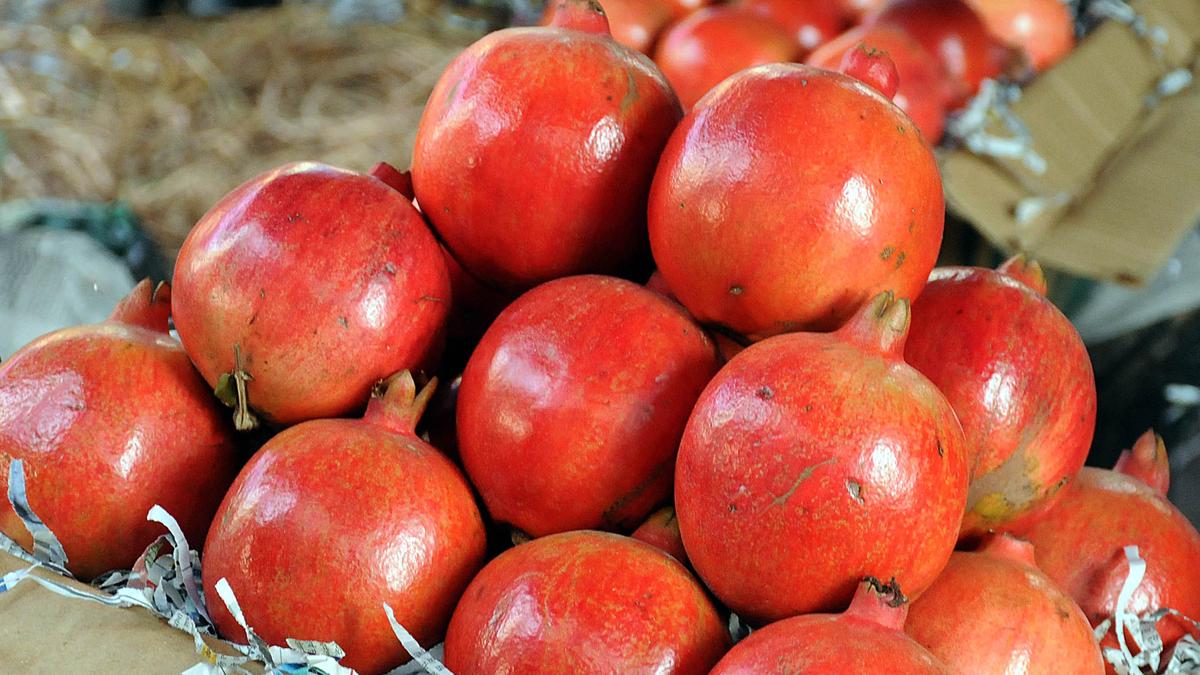 India sends first trial shipments of pomegranate to Australia via sea route