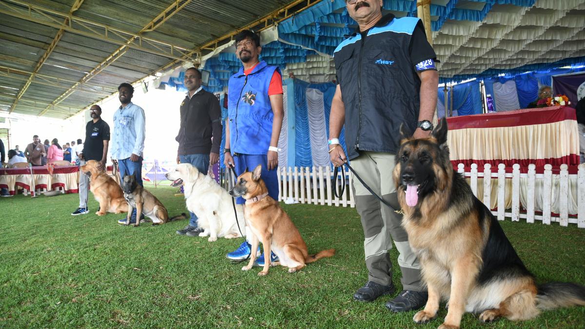 Dog show begins in Udhagamandalam