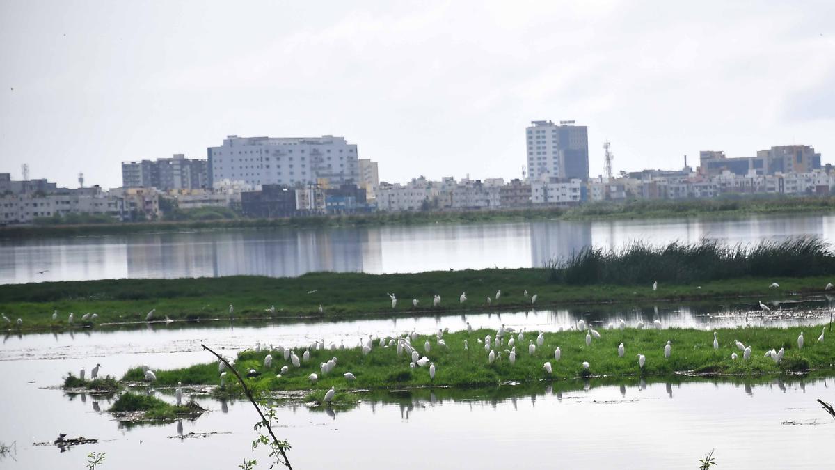 Eco Park Proposal: Greater Chennai Corporation grapples with widespread opposition following unanimous rejection at stakeholders meeting