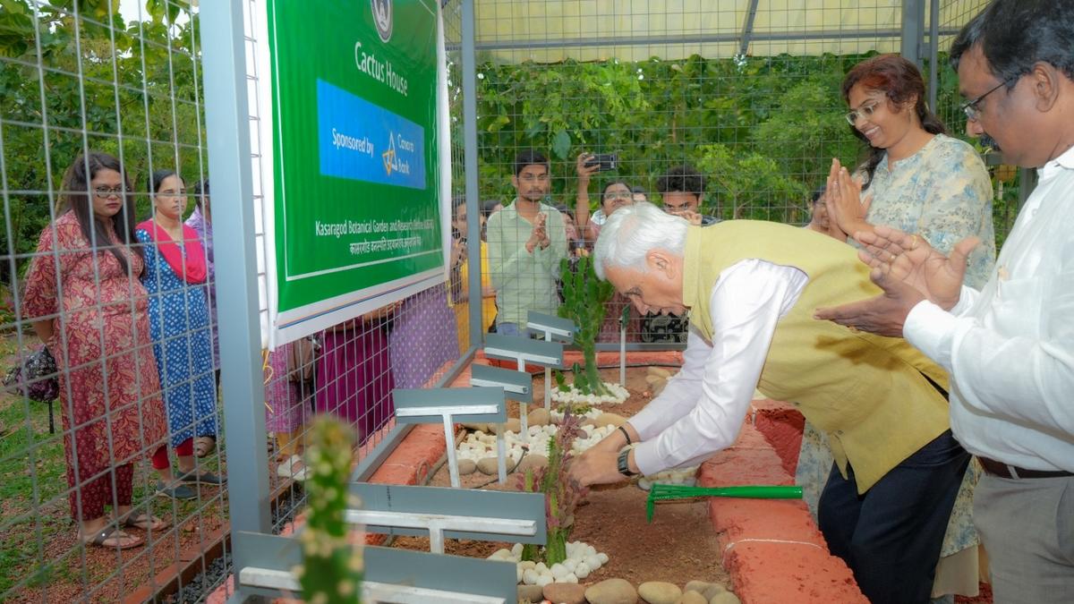 CUK unveils unique cacti collection