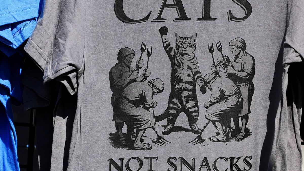 ‘Please don’t eat my cat’: Trump parody song goes viral