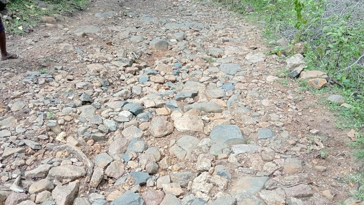 Struggle for a motorable road to Sundapur village continues in Bargur Hills in Erode