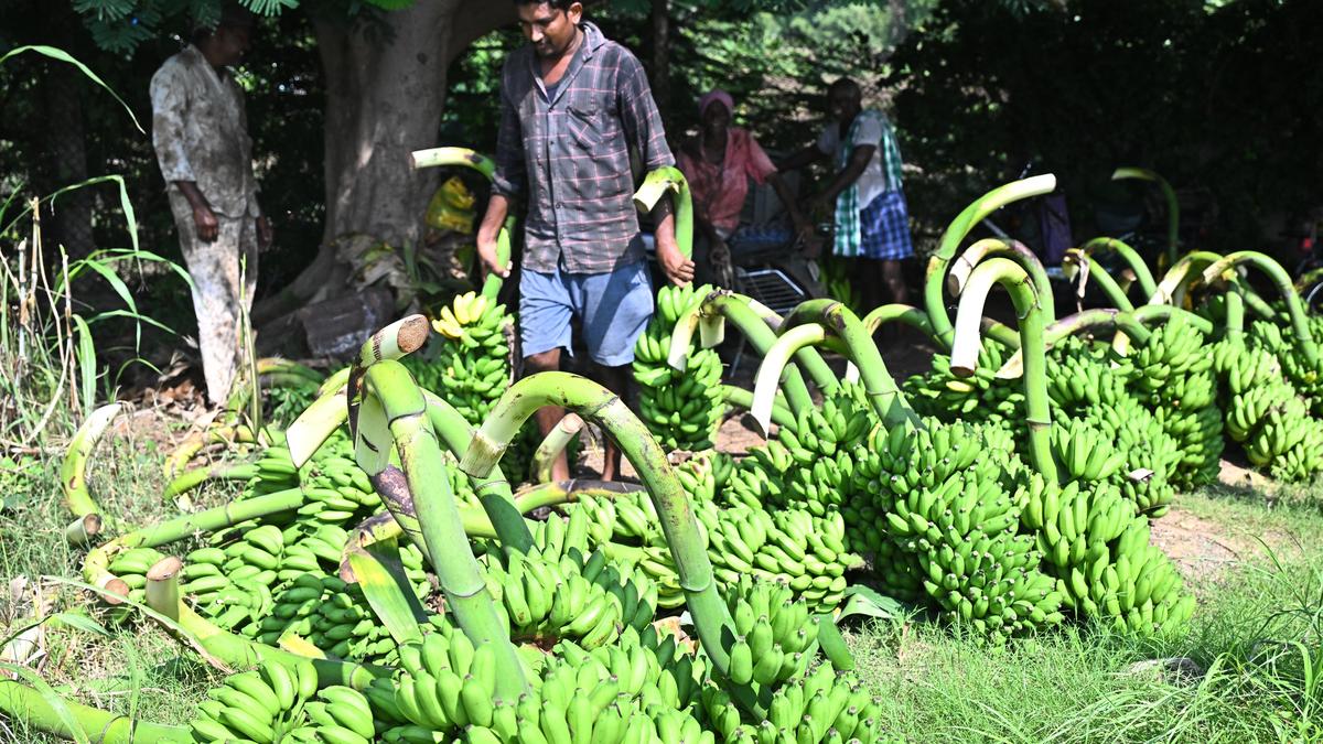 A.P. to launch ‘Rytanna – Mee Kosam’ to empower farmers