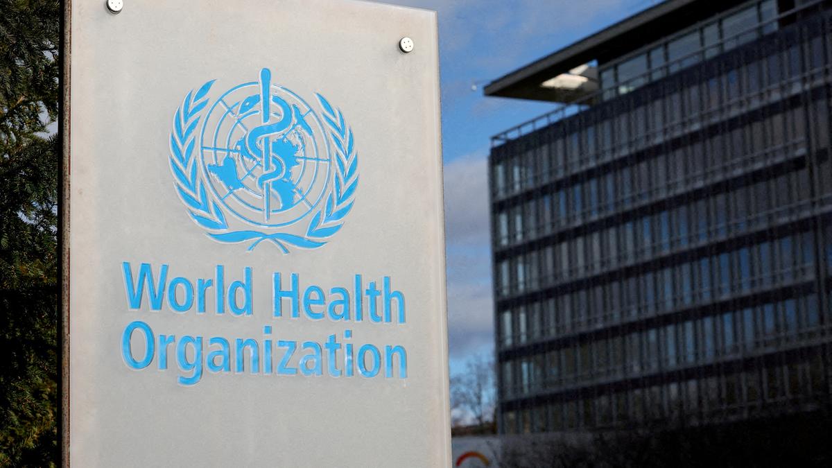 WHO says there is no link between autism and paracetamol use in pregnancy