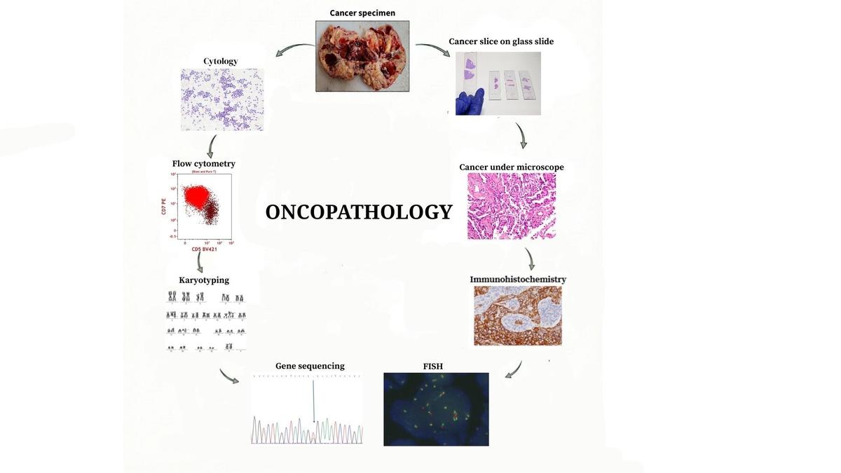 How oncopathology works