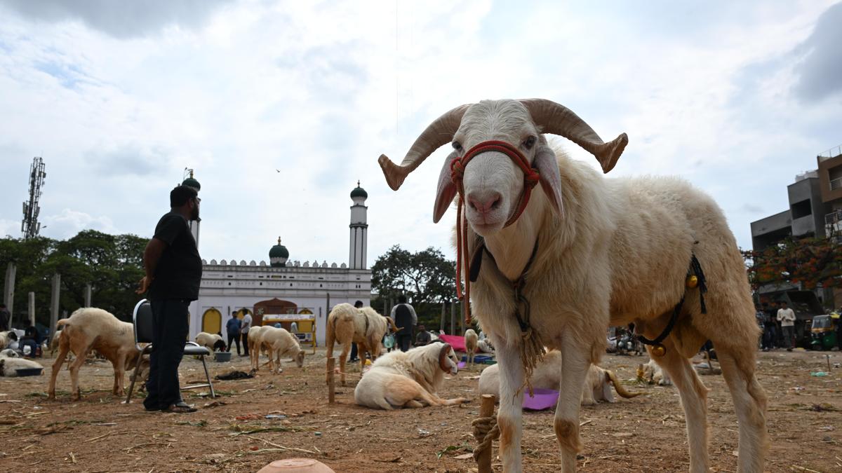 Karnataka State Wakf Council urges government to ensure protection during Bakrid celebrations