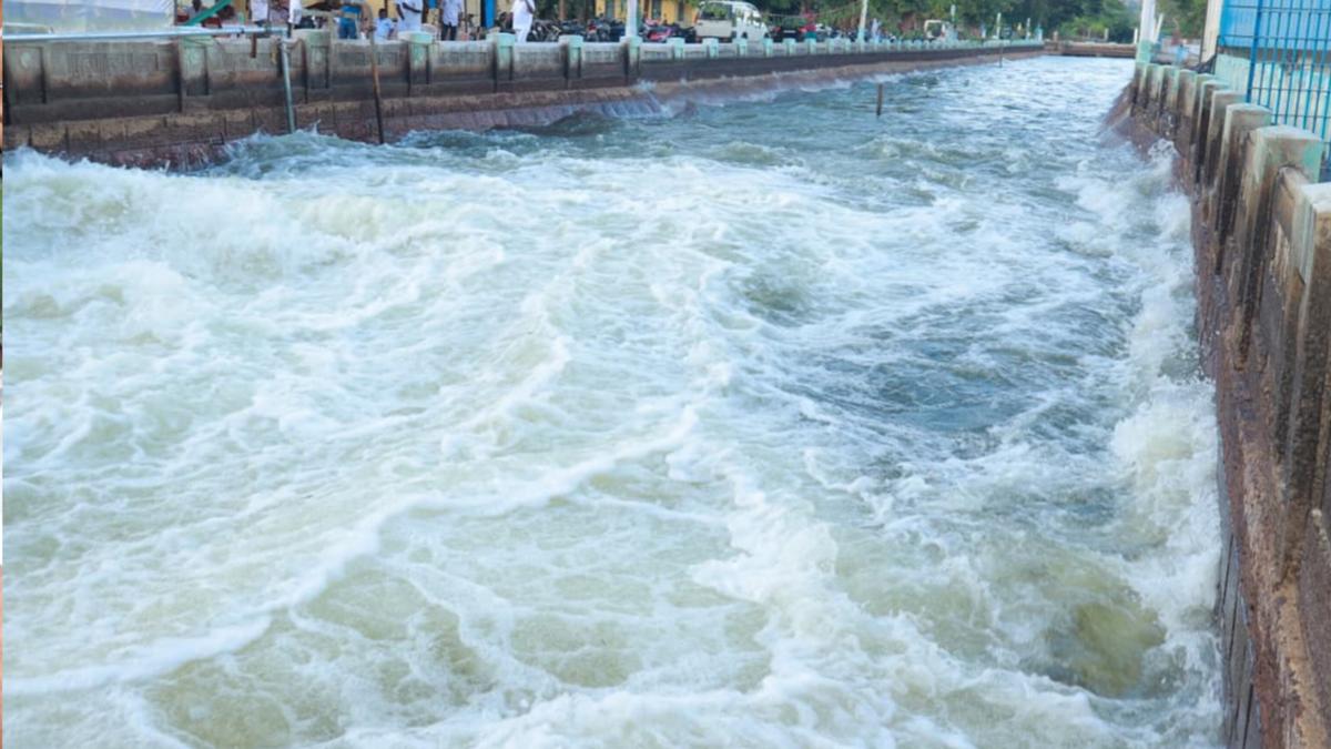 WRD releases water from Amaravathi Dam for irrigating 47,117 acres in Tiruppur and Karur districts