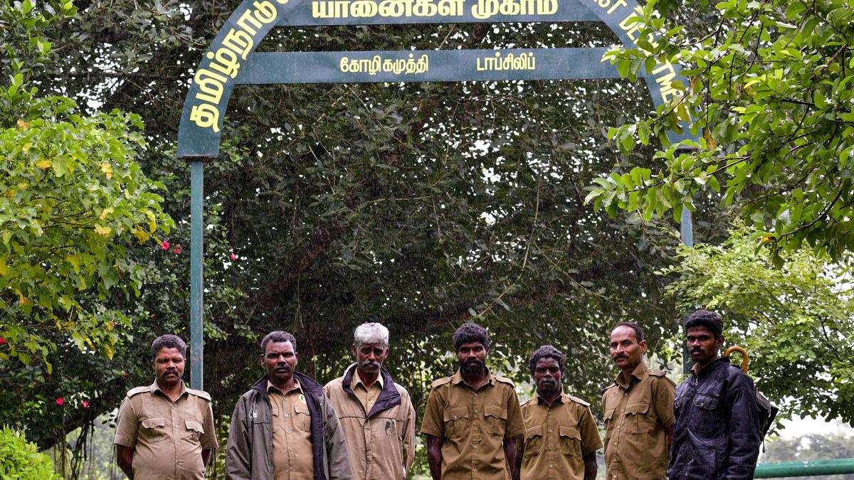 Malasar tribesmen of Anamalai hills chosen for the first ‘Gaj Gaurav Award’ by the Ministry of Forests