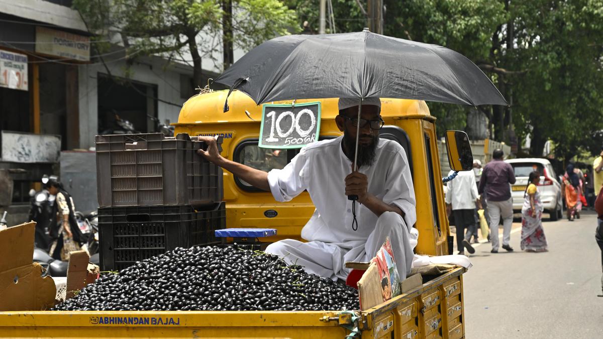 Three Telangana districts cross 45℃ on May 17, Nizamabad hottest at 45.7℃