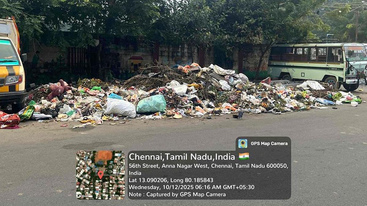 A litter loop on a street in Chennai