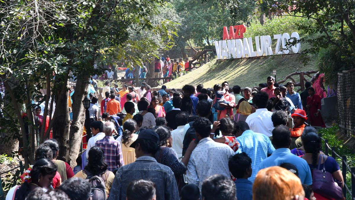 Nearly 1 lakh people visit zoo during Pongal holidays