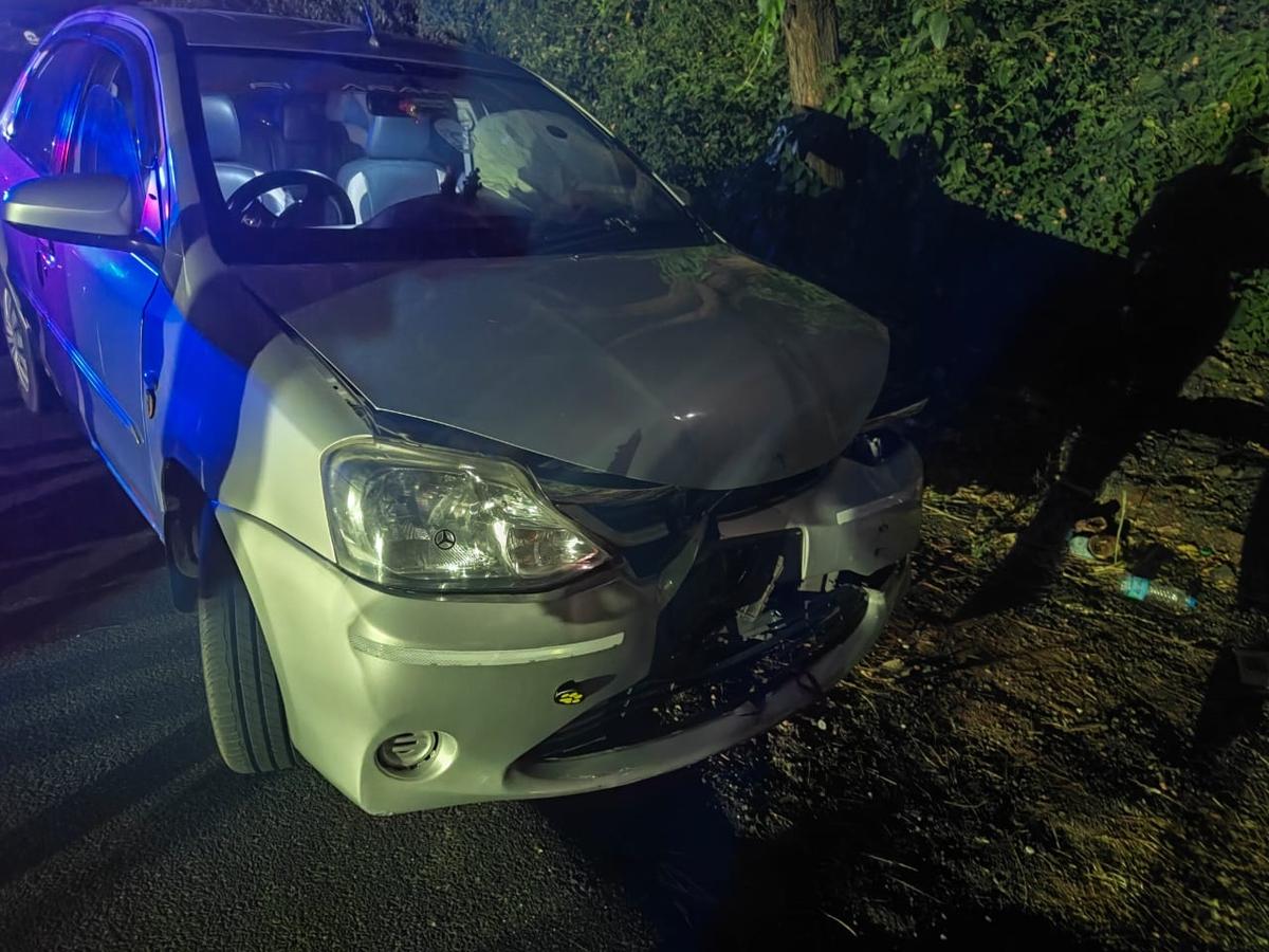 Tiger killed by a speeding vehicle near Mysuru airport - The Hindu