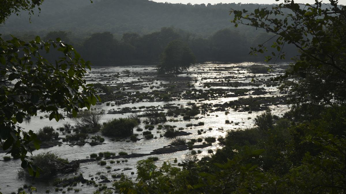 Deficit inflows: CWMA asks Karnataka and Tamil Nadu to conserve water