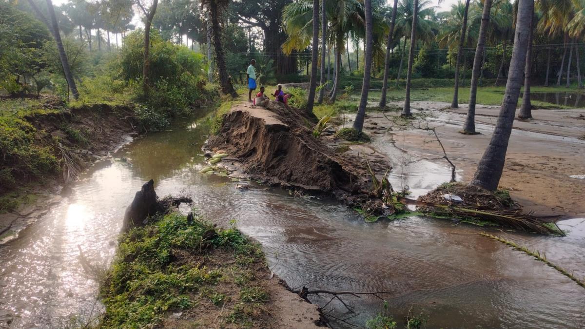 Heavy rain in Namakkal, Krishnagiri, and Dharmapuri districts