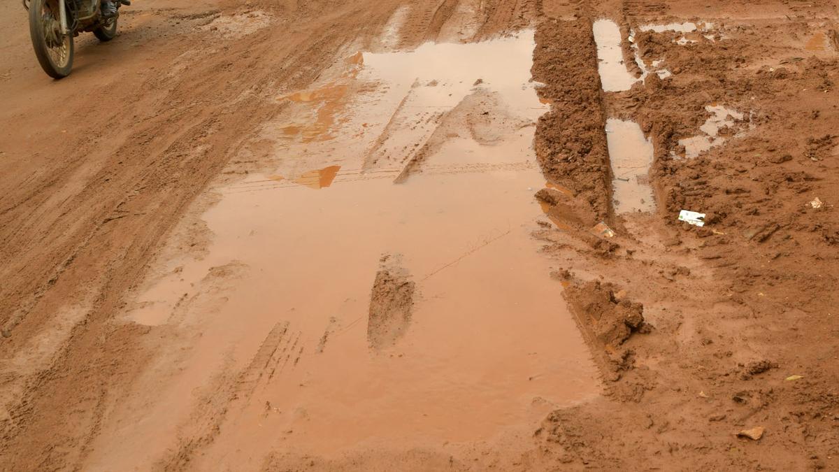 Tiruchi Corporation to remove encroachments on Wireless Road in a phased manner