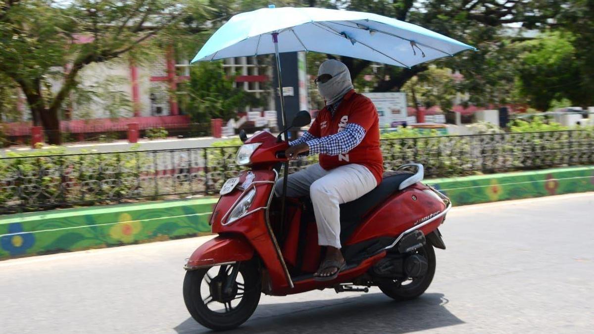 Summer as a source of income shock for gig workers