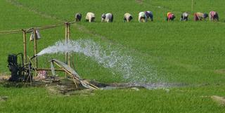 4.5 lakh illegal farm pumpsets identified in Karnataka for regularisation:  Minister - The Hindu