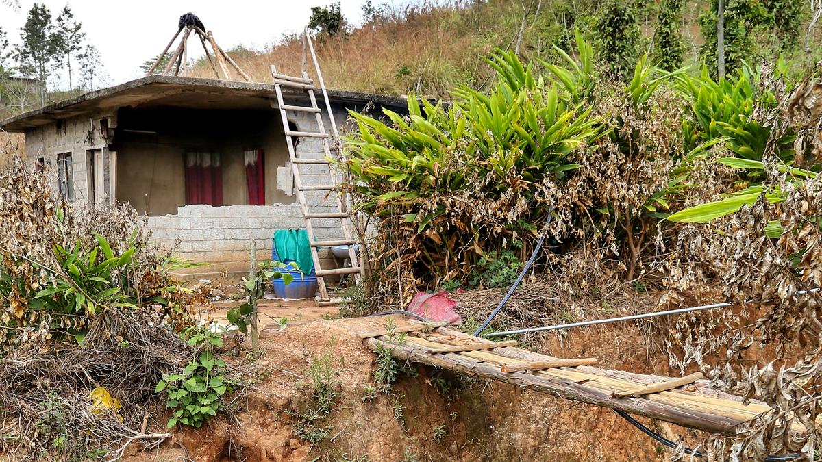 29 lost their lives in wild elephant attacks in two Idukki panchayats in 13 years