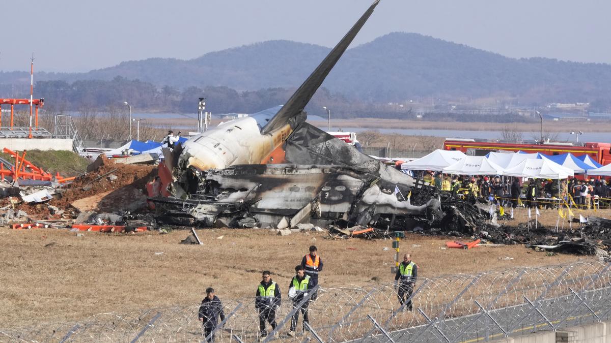 South Korea plane crash LIVE: 124 killed as Jeju aircraft landing gear  malfunctioned; flights cancelled at Muan airport 